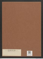 Diatomeae indet. (de-Toni-Nr.: Species 2682 ?) Zeichnungen Sammlung Grunow Mappe 02895 (Herbarium_W_Grunow_drawings_Folder_02895)